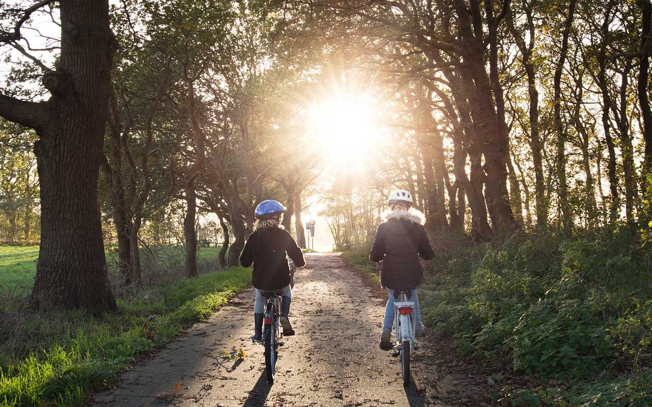 两个孩子骑着自行车来到森林里的夕阳下。