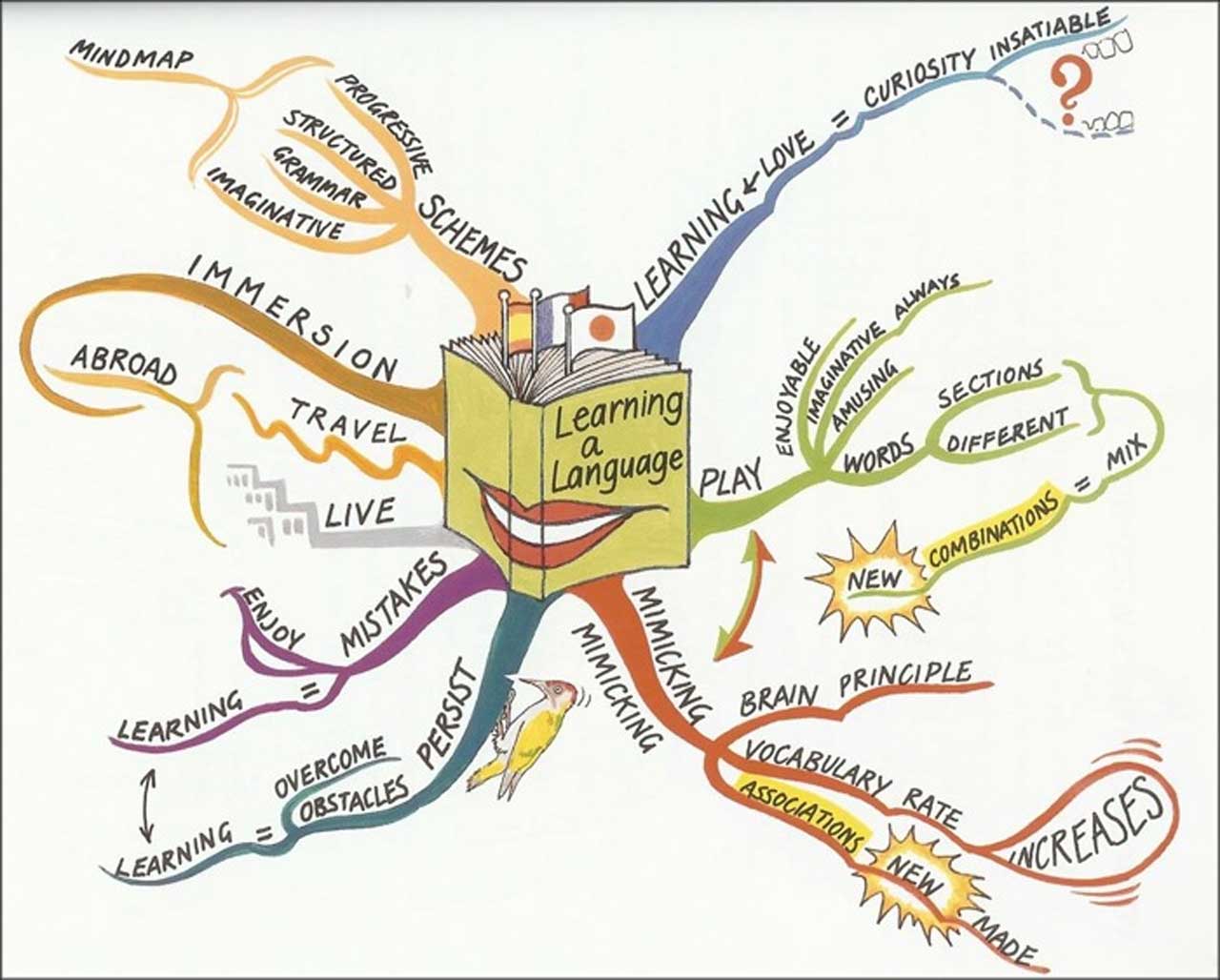 来自Tony Buzan学习中心的Ind地图，关于学习语言。