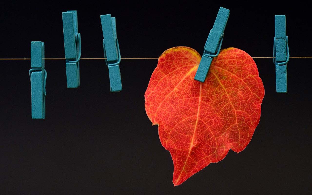 红色的秋叶用衣夹夹在铁丝上，这是联想图像的一个例子。
