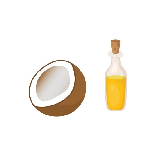 椰子旁边的一瓶橄榄油的形象