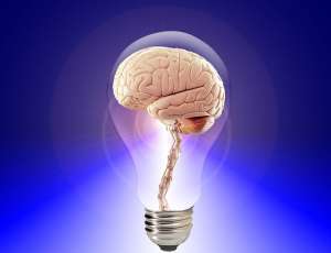 大脑在灯泡中的图像，表示有一个集成的记忆方法