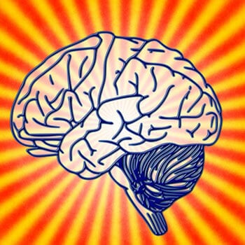 脑锻炼改善记忆磁记忆法博客特色图像