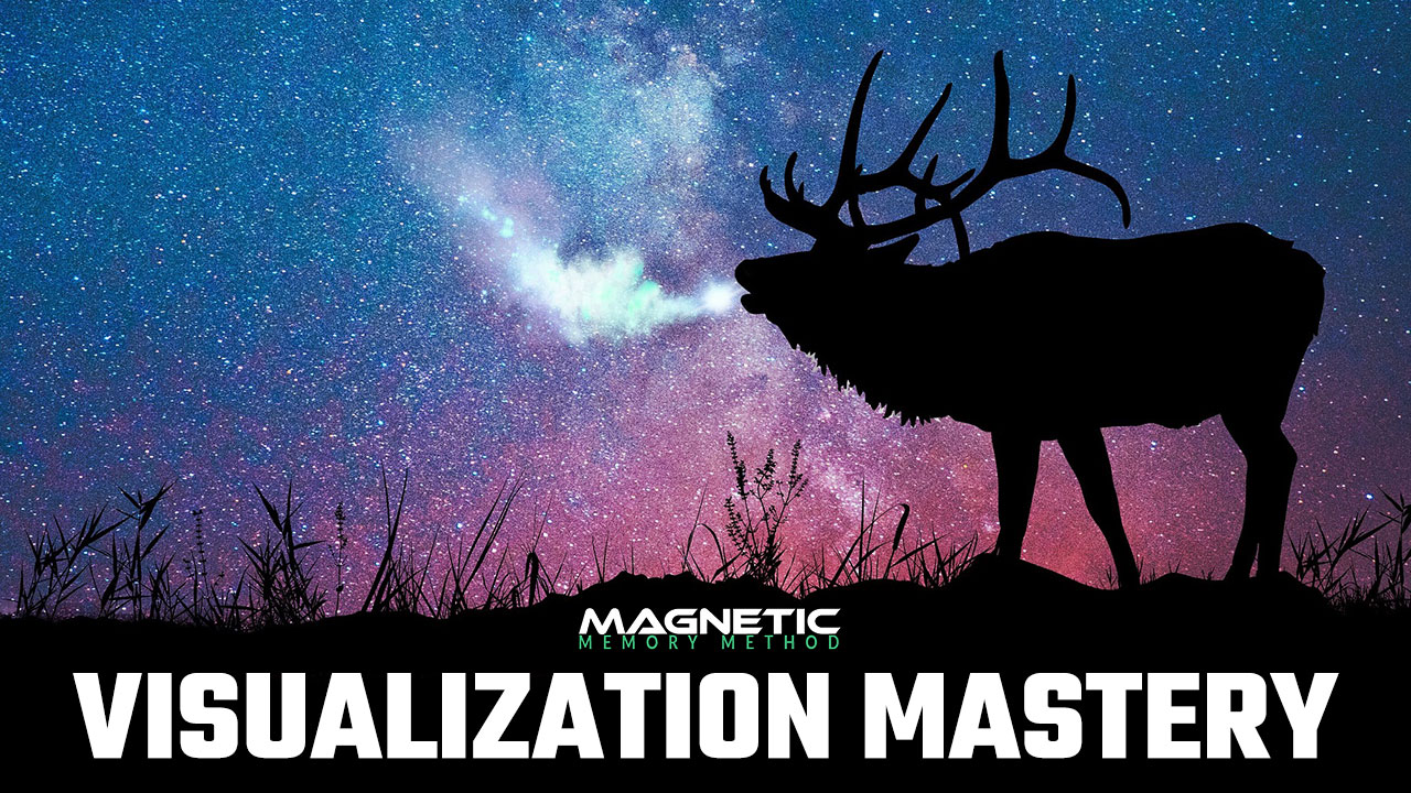 磁存储器方法中的可视化掌握课程MasterClass