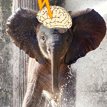 大象和人类大脑被闪电击中的图像，表达了与神经运动相关的概念