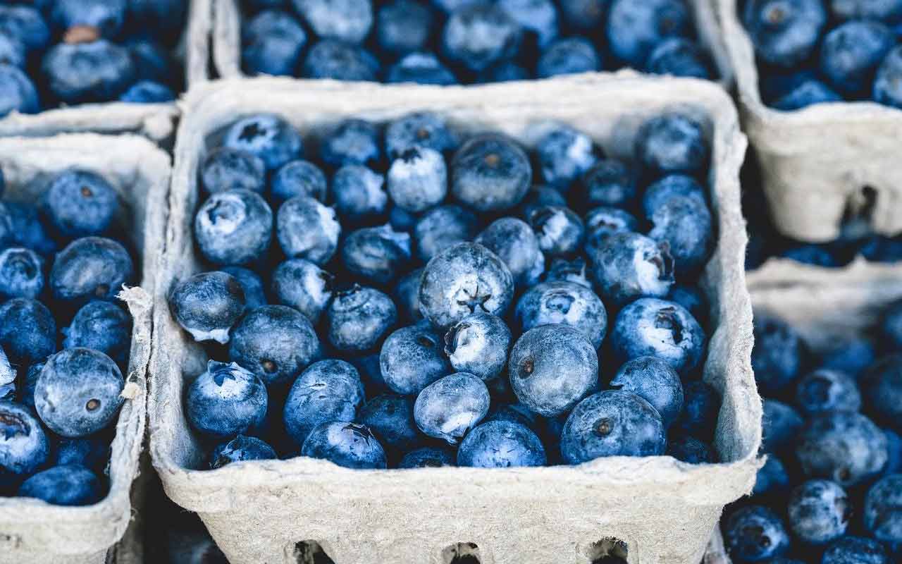 一个蓝莓，脑超级食物的容器和与sattvic饮食的良好补充。