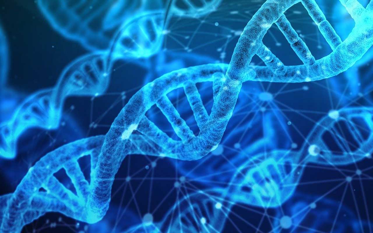 DNA链，思维导图帮助学生更好地理解的科学和医学概念。