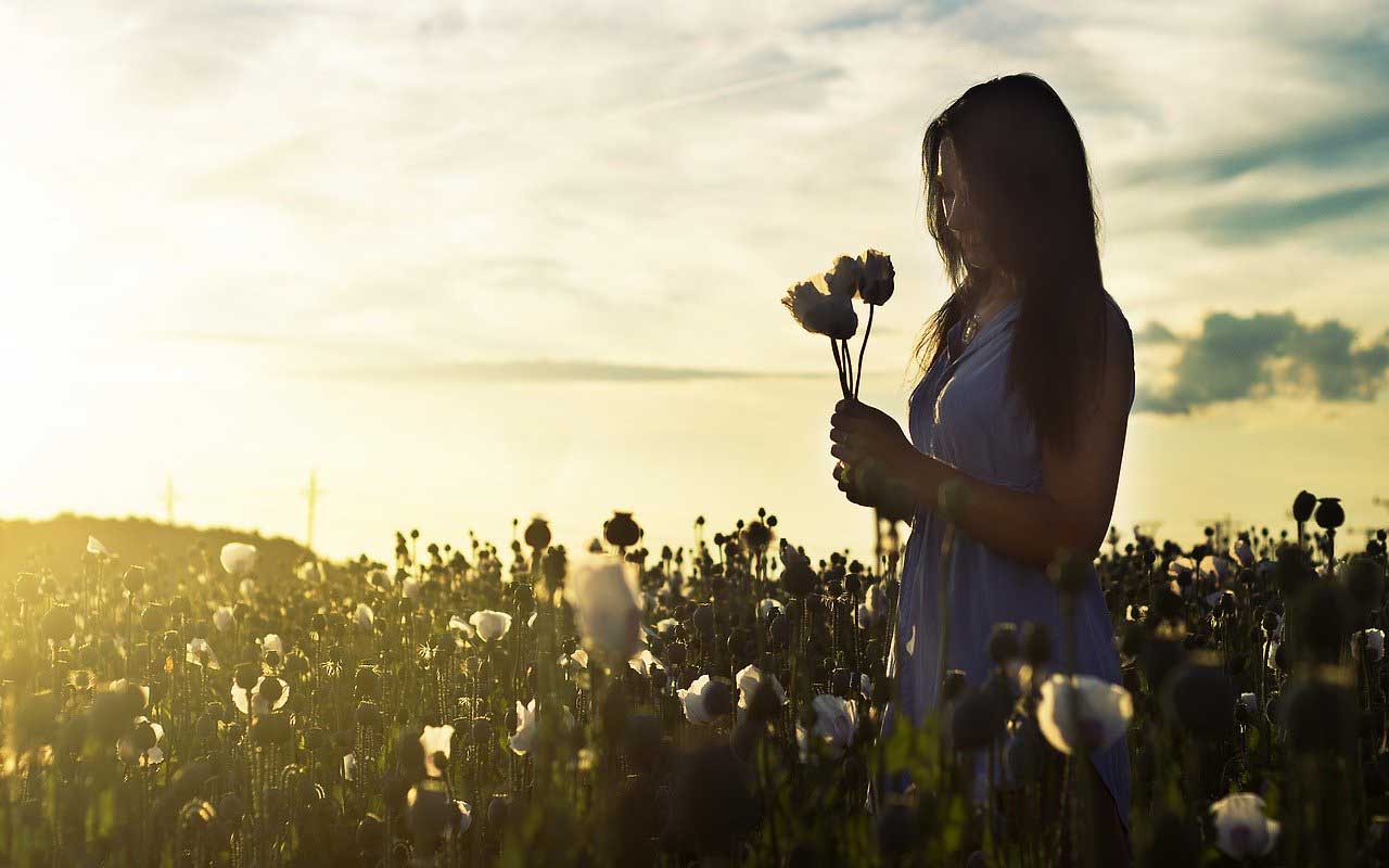 田野里的一个女人，手里拿着一束野花。