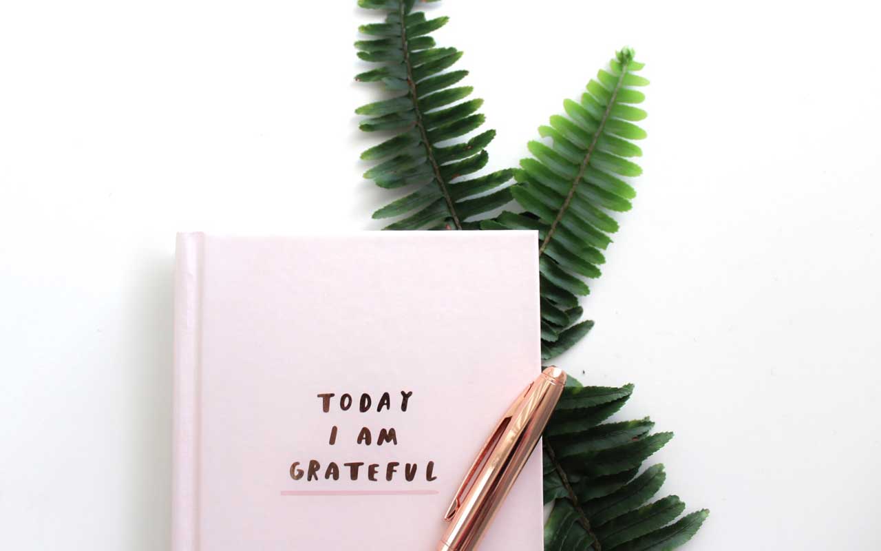 一本写在蕨叶上的感恩日记。杂志封面上写着:“今天我很感激。”