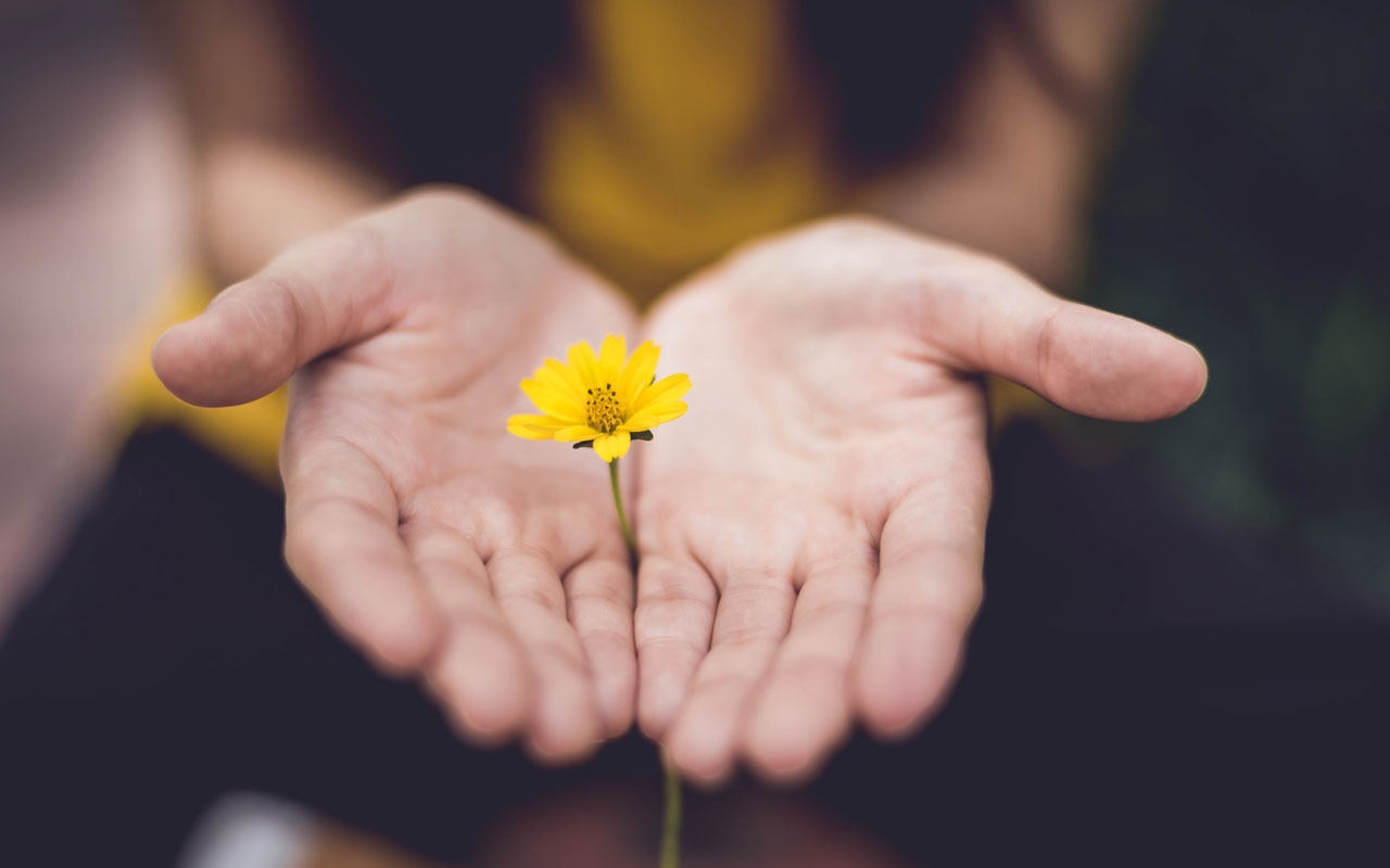 一个手掌张开的人，手掌之间插着一朵黄色的花。