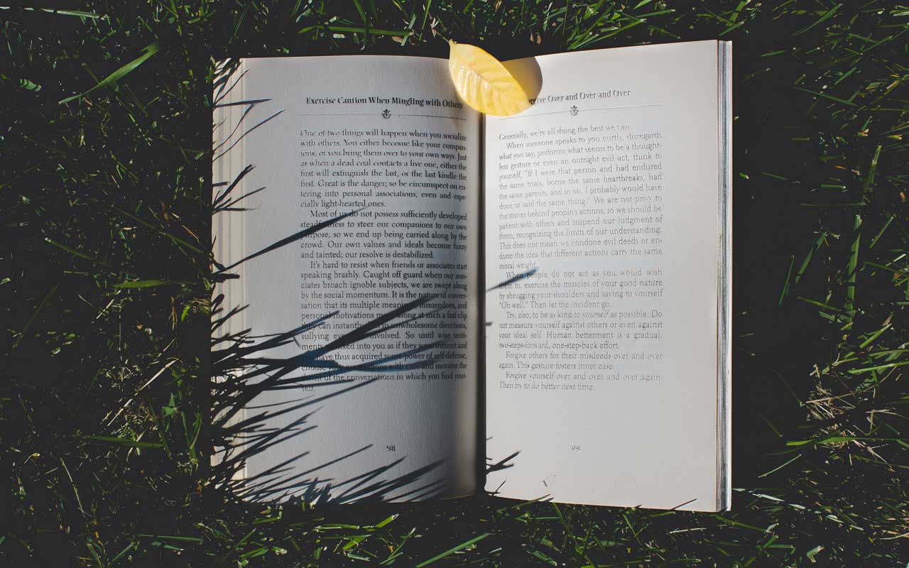 一本打开的书躺在草地上。阅读有关记忆专家的书籍都是你更大的记忆策略的一部分。