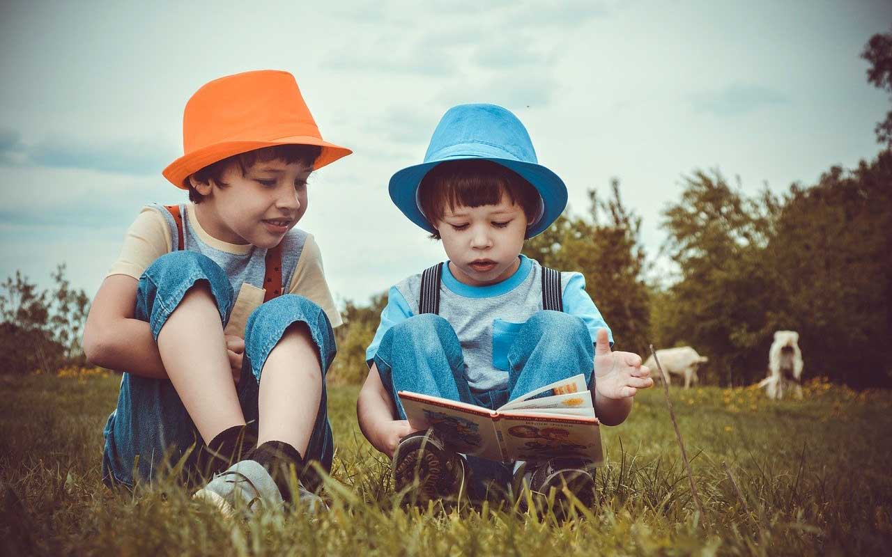 两个年轻的兄弟从一本书读出大声的，当坐在草地时。