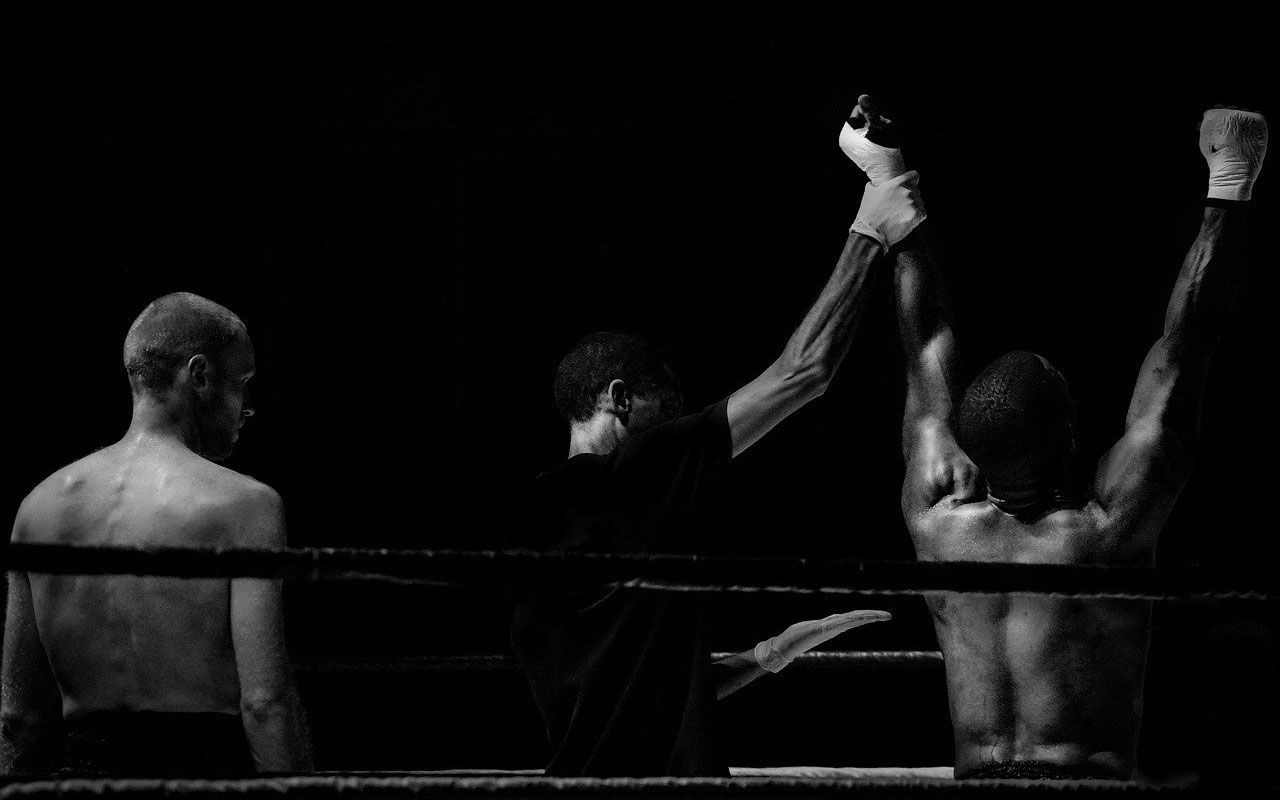 裁判抓住了一个胜利拳击手的手臂。