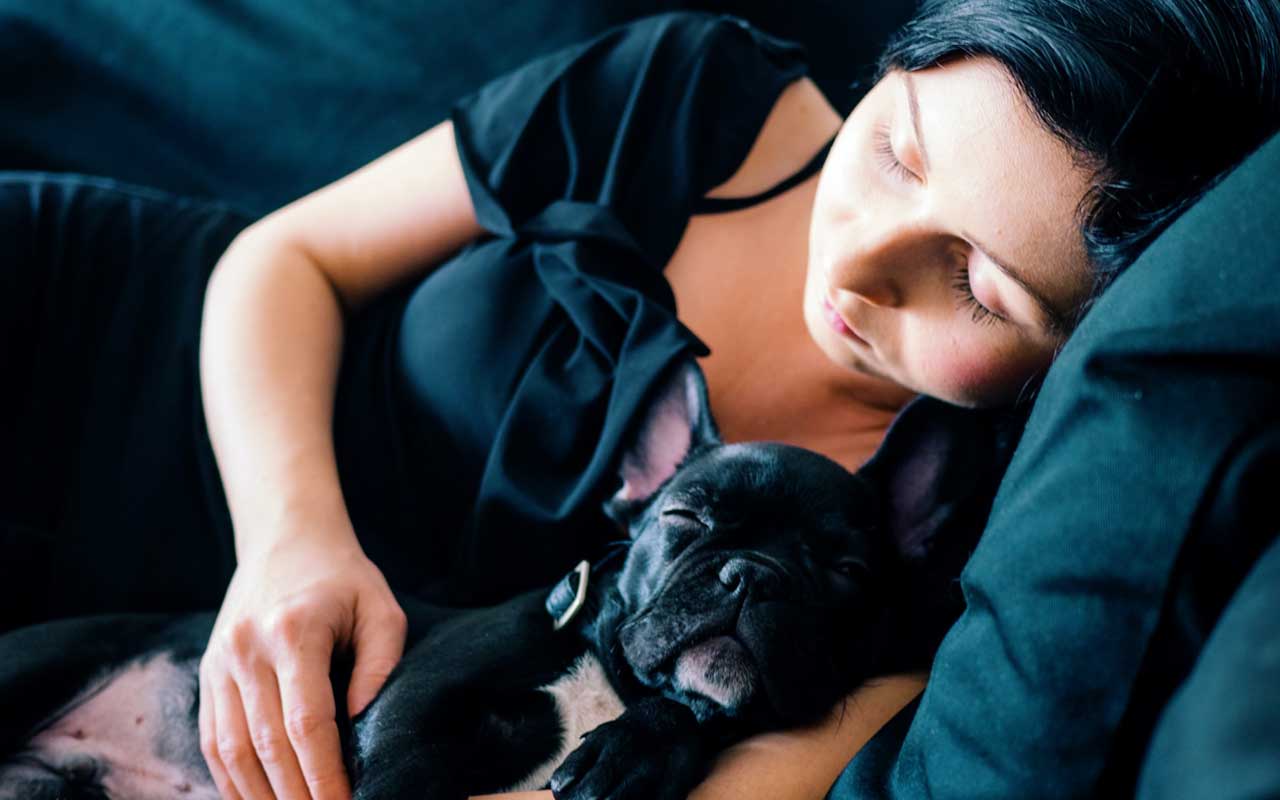 一个女人小睡在一个沙发上用她的法国牛头犬。如何集中更好？睡个好觉。