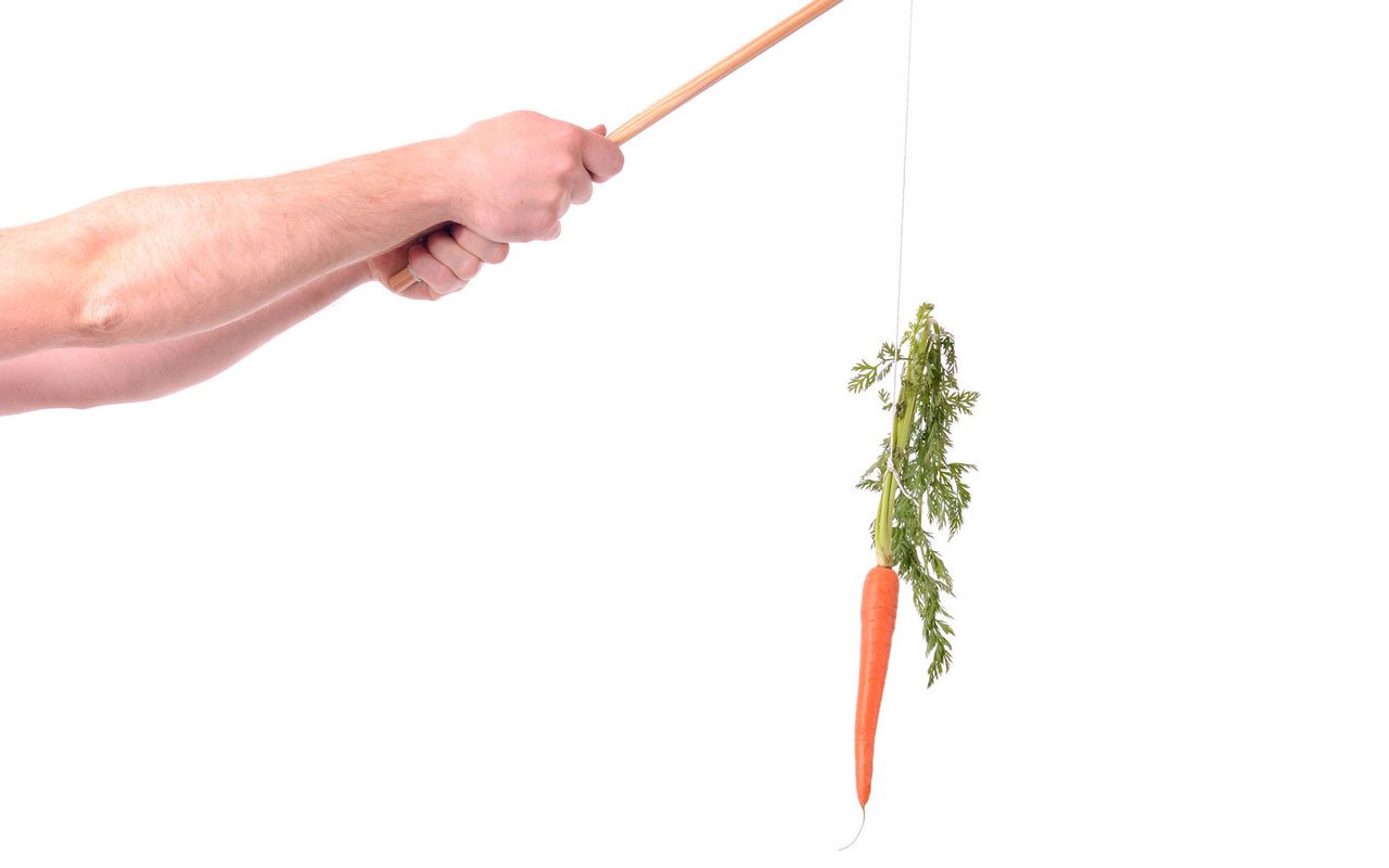 一个人用绑在它的胡萝卜抱着一根棍子。胡萝卜和棍子动机是一种外在动机的形式。