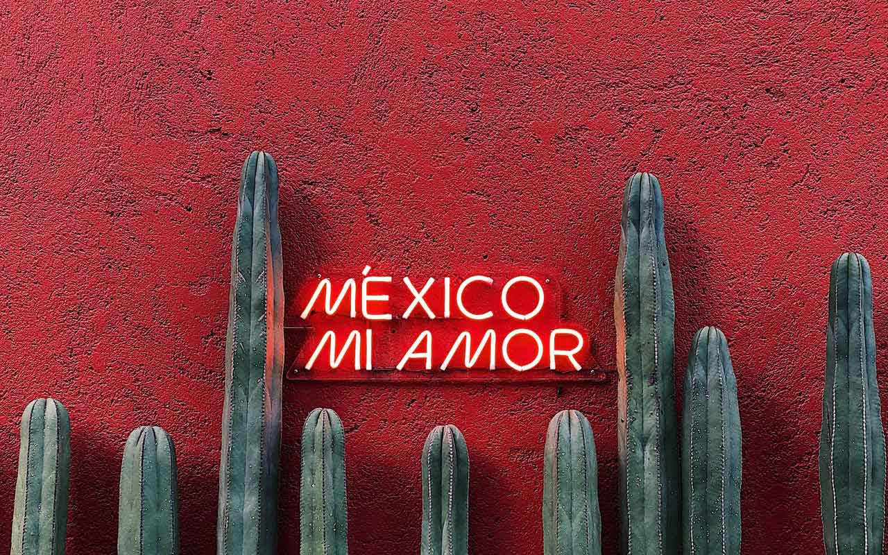 霓虹灯符号反对明亮的红色彩绘的墙壁与仙人掌读，“墨西哥mi amor。”西班牙语是一个顶级商务语言。