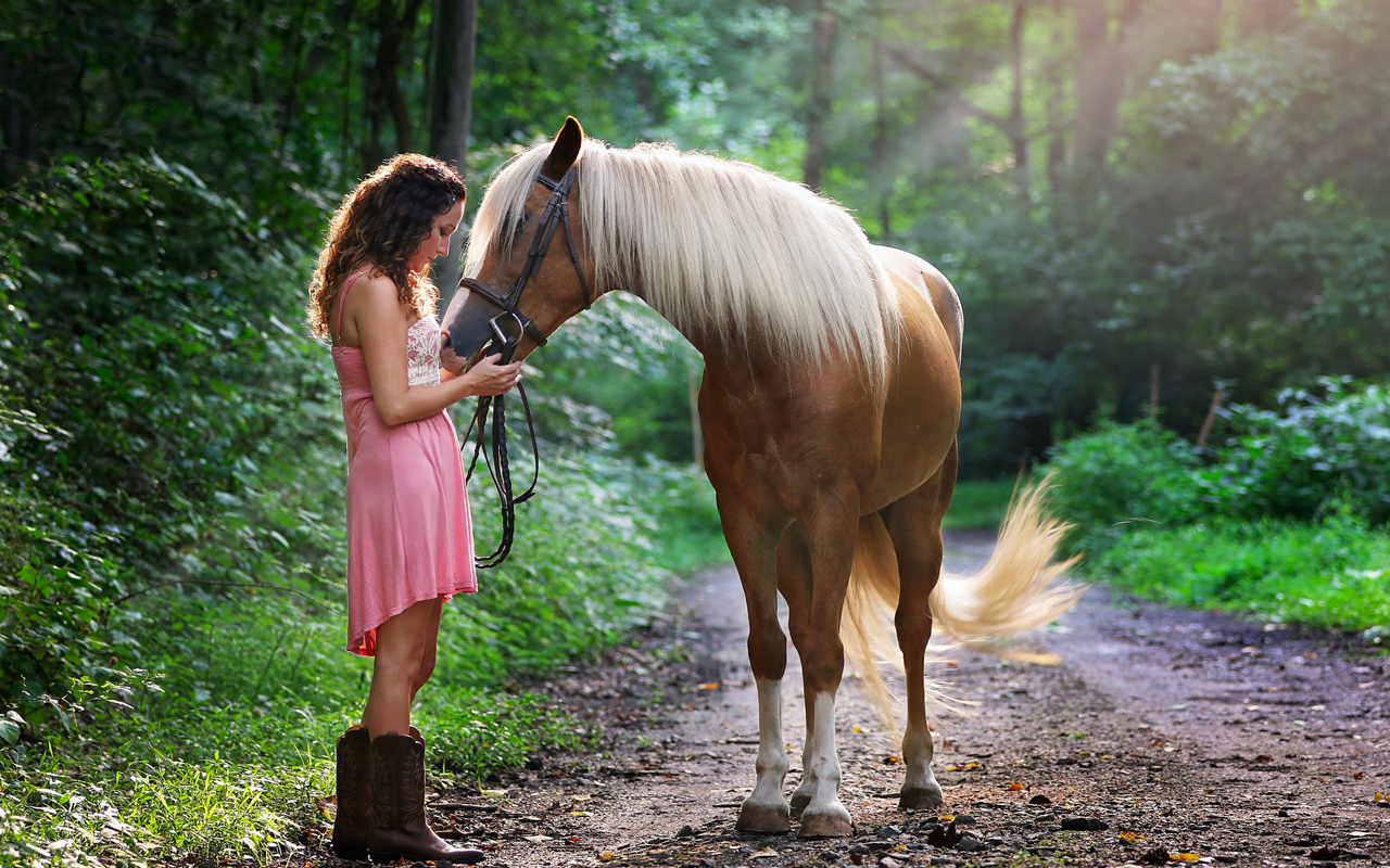 有一匹马的一名妇女在森林道路