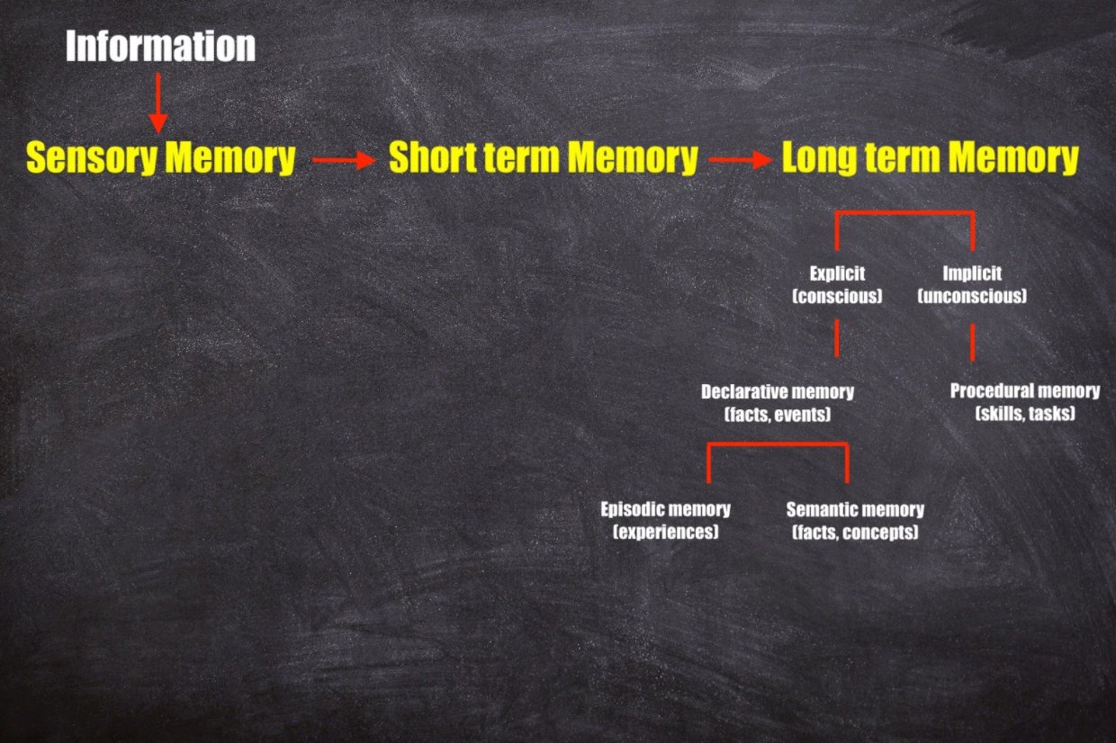 阿特金森shiffrin三阶段记忆模型