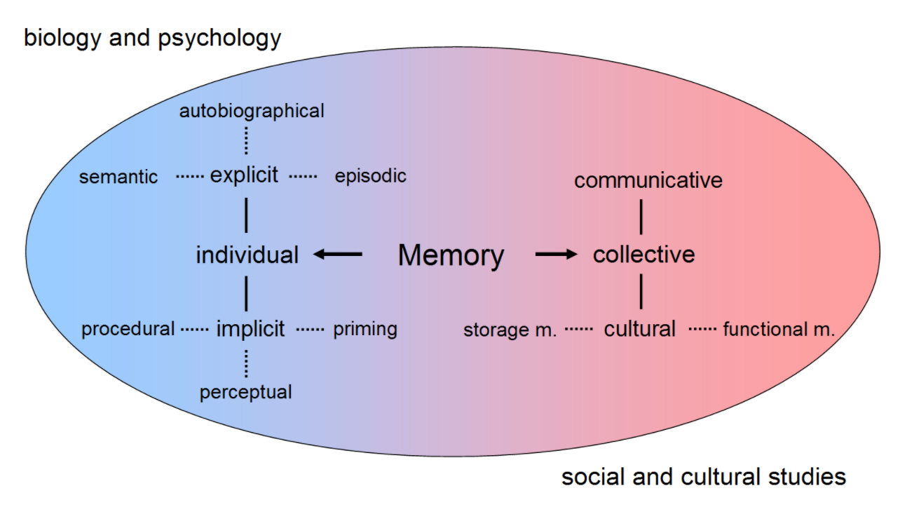 不同的学科对记忆有不同的安排